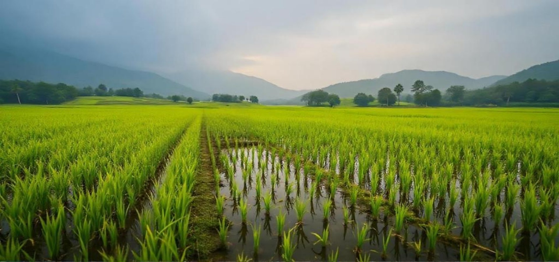 Affordable Irrigation Equipment in Koppal District